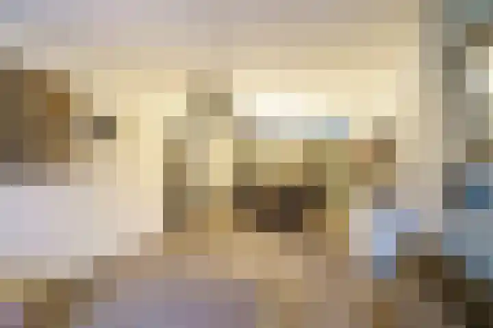 Escamplaan 789 Den Haag thumbnail 8