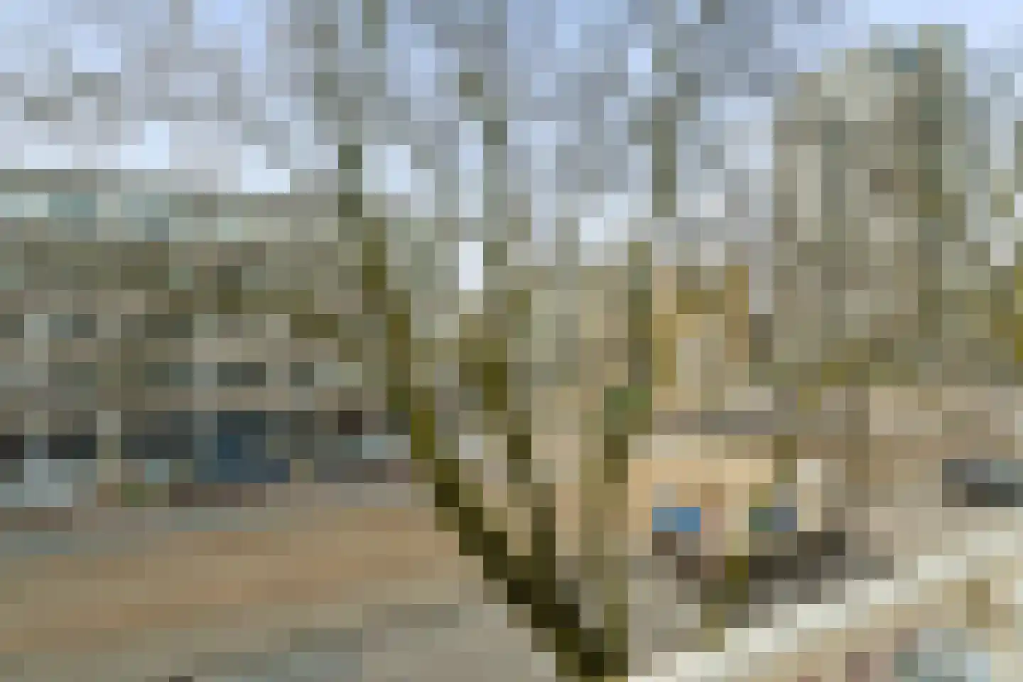Escamplaan 797 Den Haag thumbnail 42