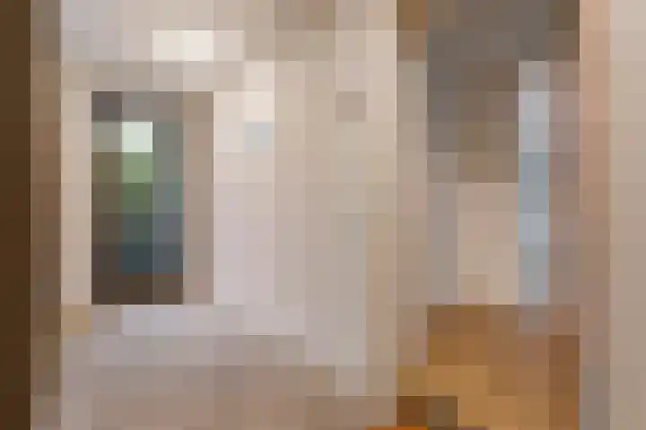 Escamplaan 880 F Den Haag thumbnail 14