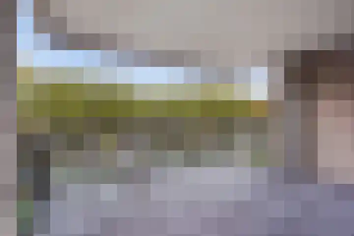 Escamplaan 880 F Den Haag thumbnail 23
