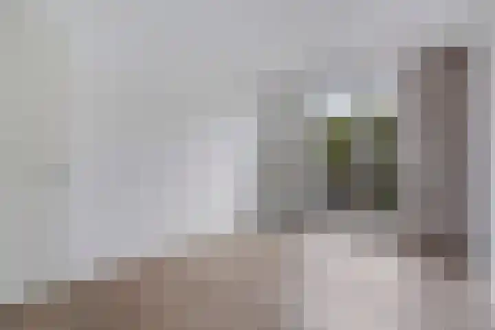 Escamplaan 880 F Den Haag thumbnail 4