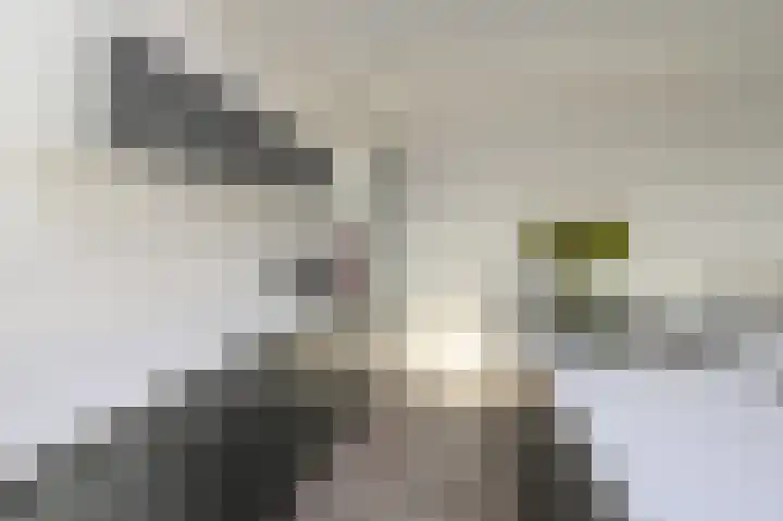 Escamplaan 886 E Den Haag thumbnail 16
