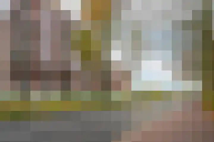 Escamplaan 886 E Den Haag thumbnail 7