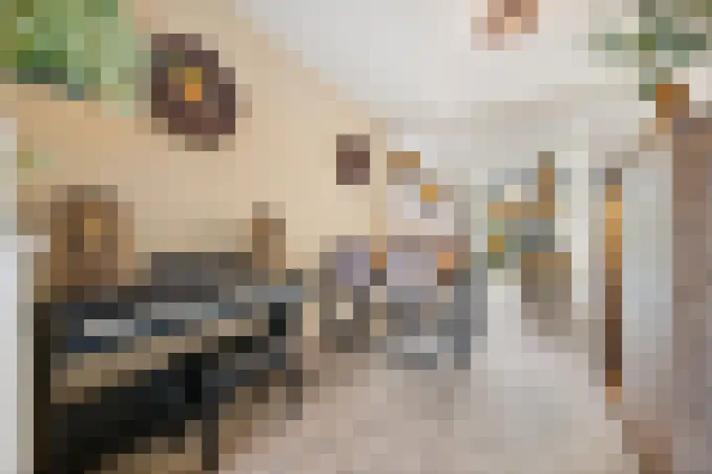 Escamplaan 89 Den Haag thumbnail 10
