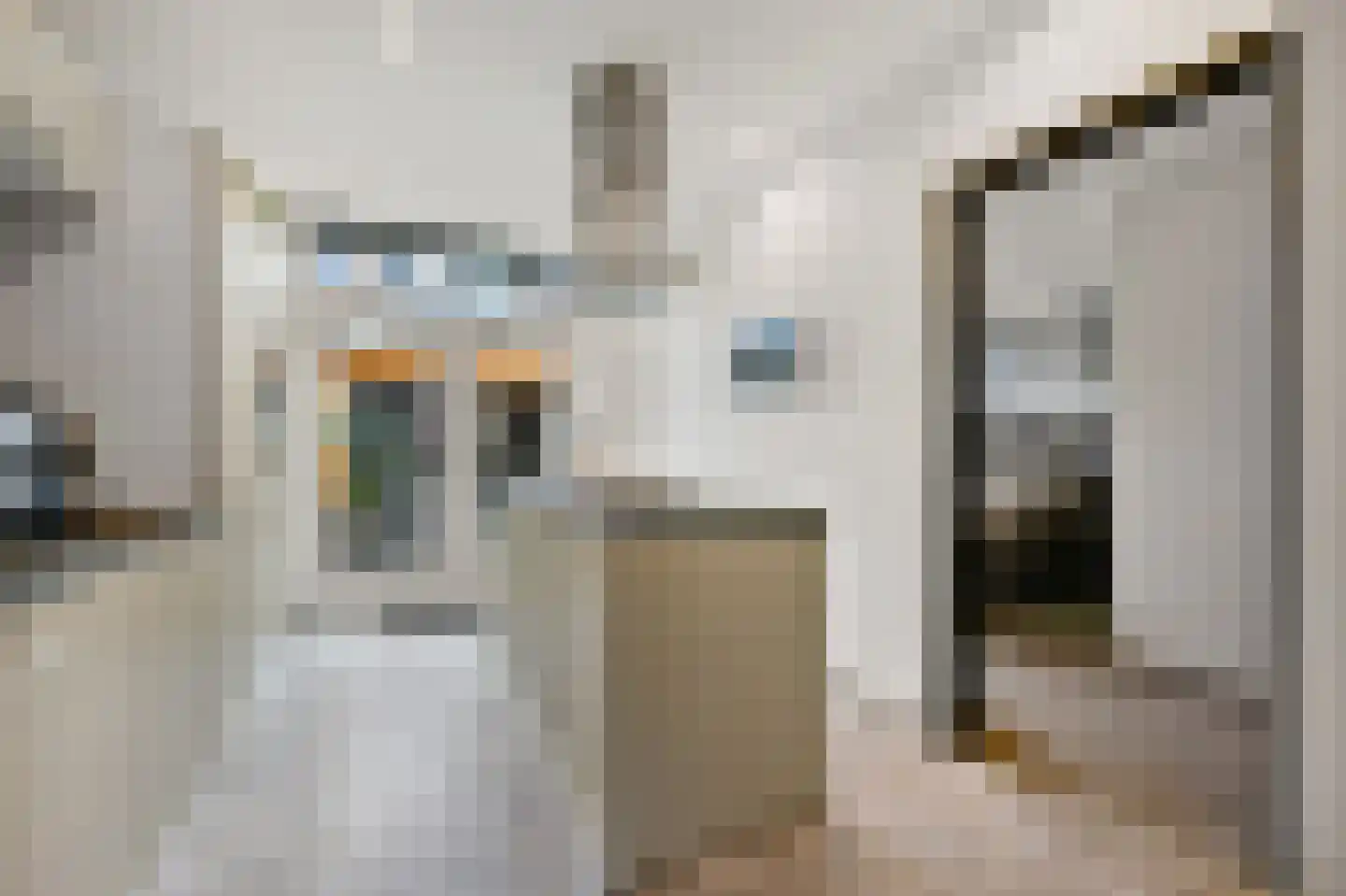 Escamplaan 89 Den Haag thumbnail 12