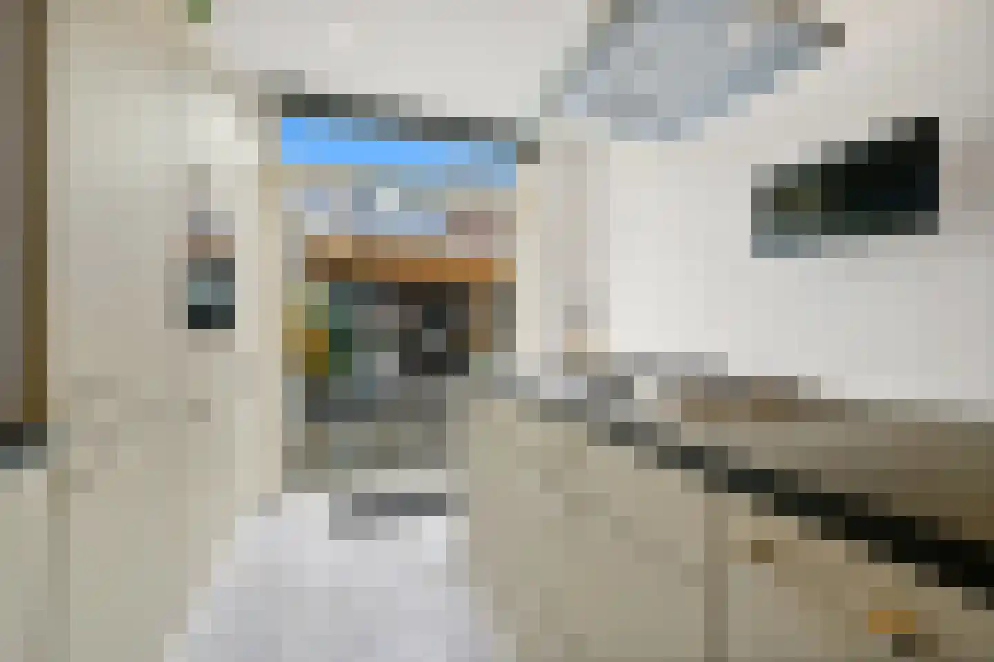 Escamplaan 89 Den Haag thumbnail 14