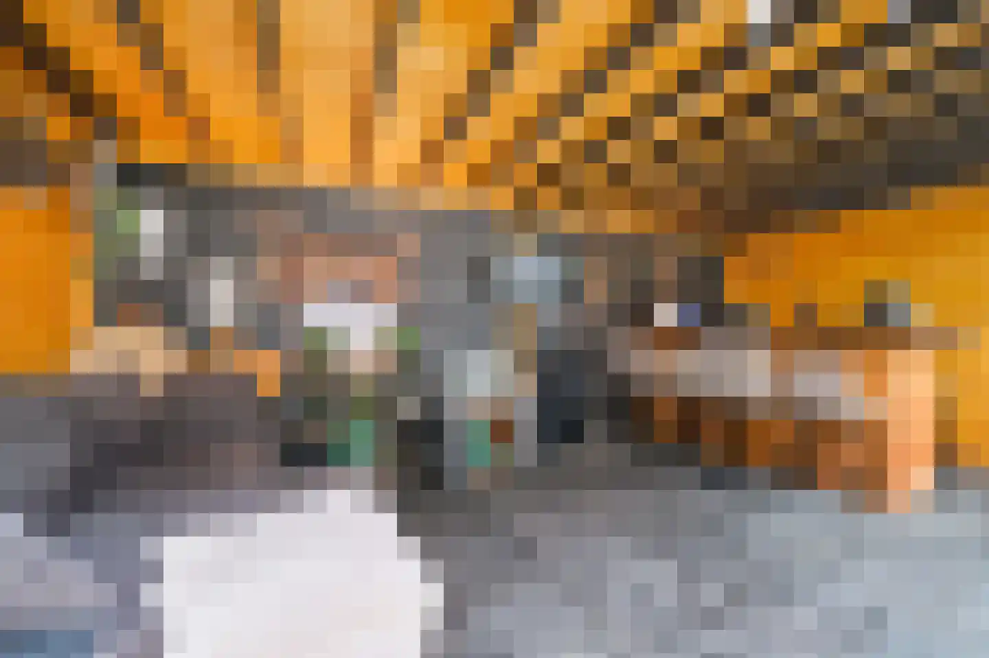 Escamplaan 89 Den Haag thumbnail 17