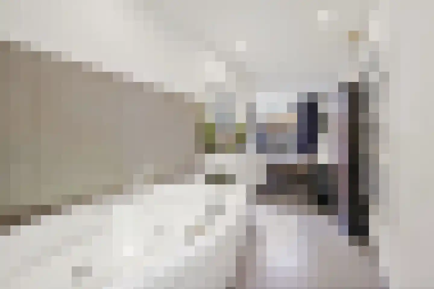 Escamplaan 89 Den Haag thumbnail 23