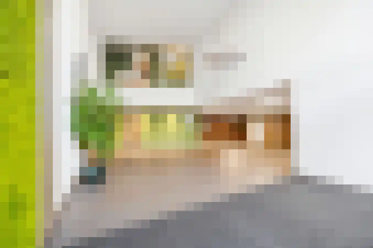 Escamplaan 894 Den Haag thumbnail 7