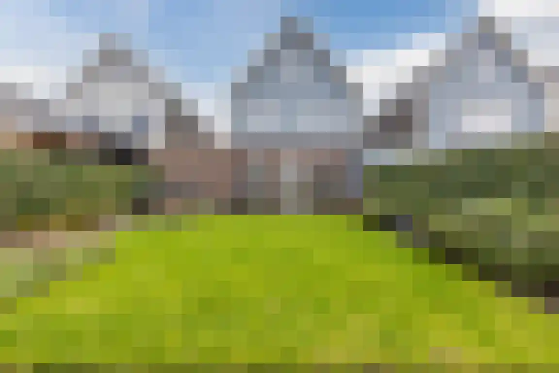 Escarp 58 Bergen op Zoom thumbnail 36