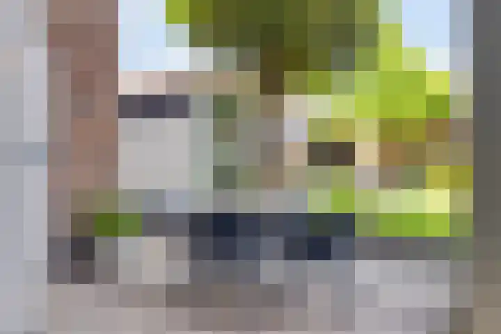 Escarp 70 Bergen op Zoom thumbnail 19