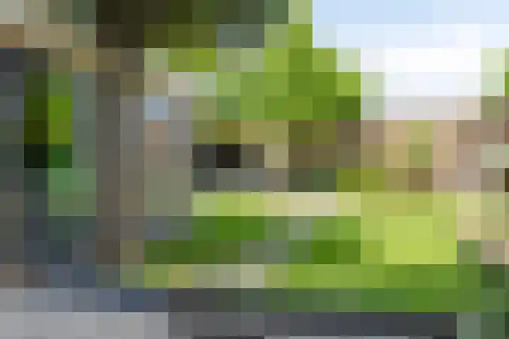 Escarp 70 Bergen op Zoom thumbnail 46