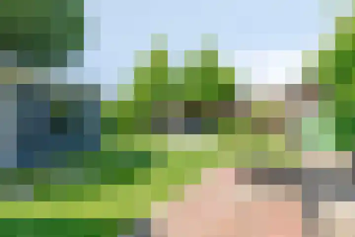 Escarp 70 Bergen op Zoom thumbnail 47