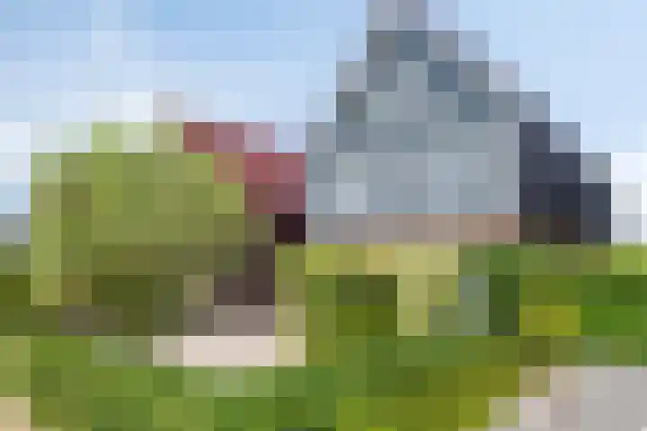 Escarp 70 Bergen op Zoom thumbnail 6