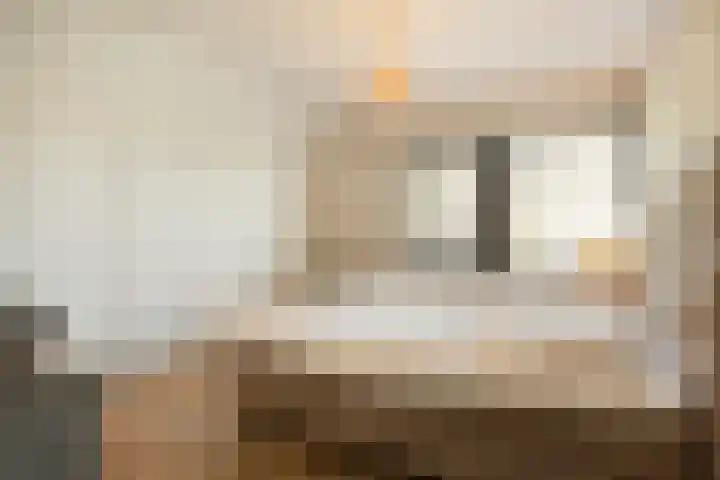Eschbeekweg 66 Enschede thumbnail 41