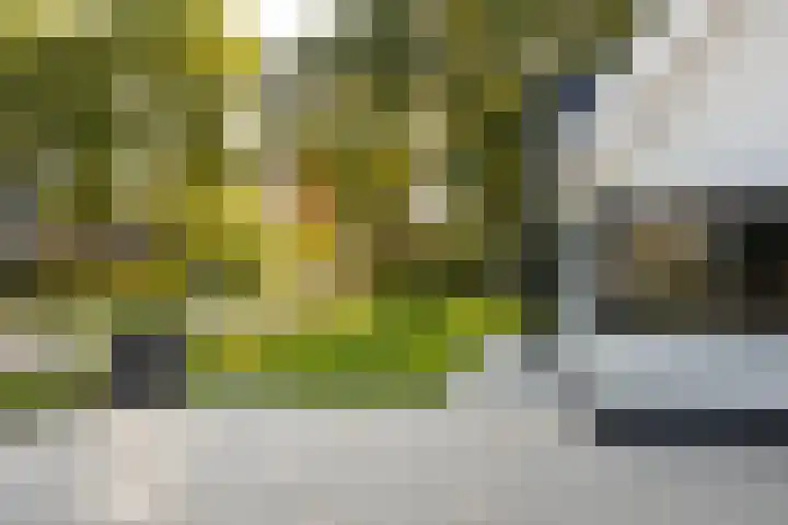 Eschbeekweg 66 Enschede thumbnail 8