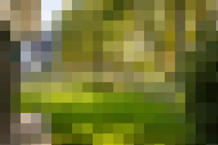 Eschbeekweg 66 Enschede thumbnail 9