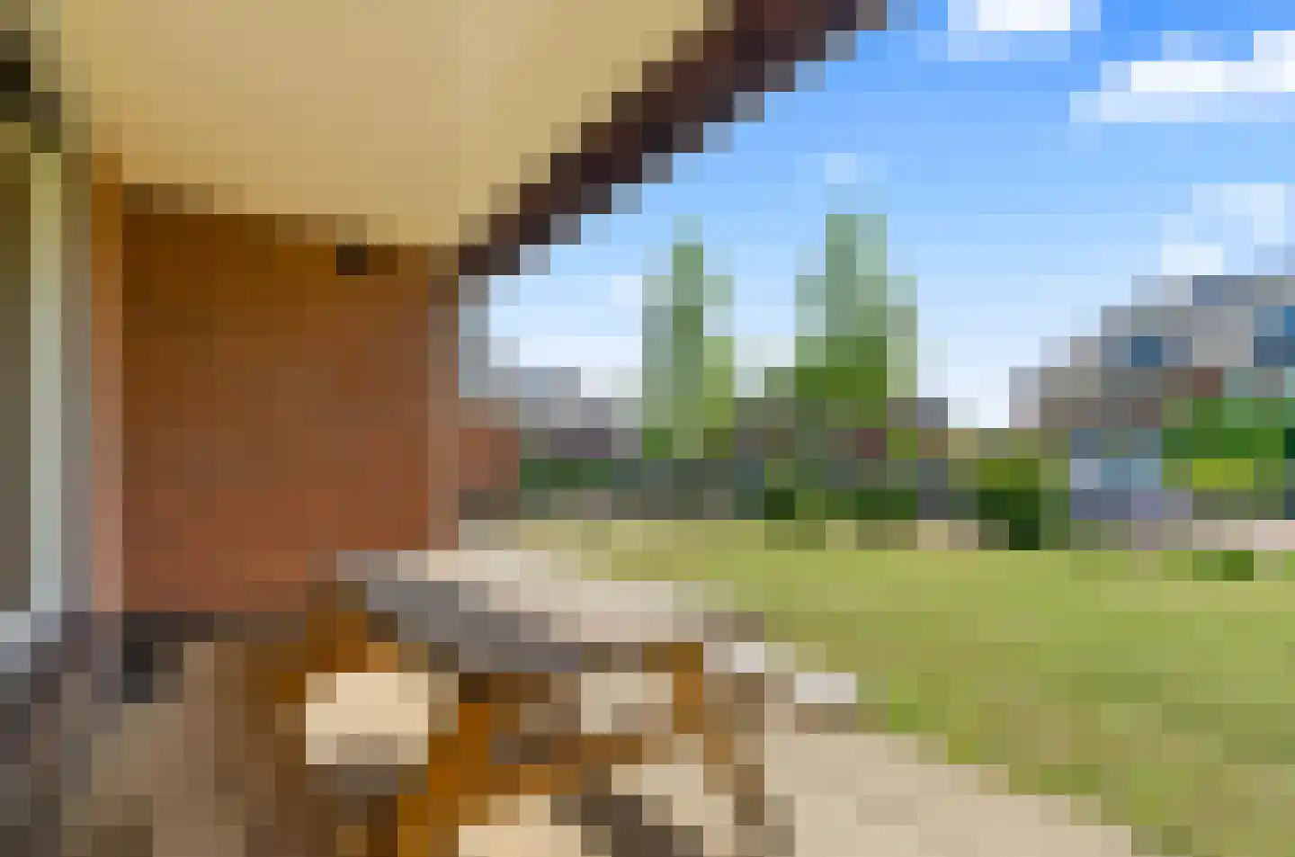 Eschberg 27 Amersfoort thumbnail 44