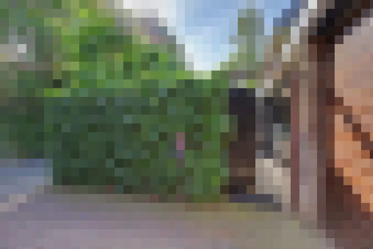 Eschberg 44 Amersfoort thumbnail 27