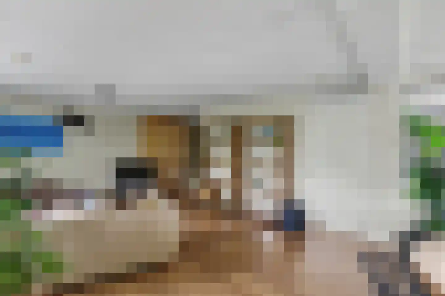 Eschberg 44 Amersfoort thumbnail 8