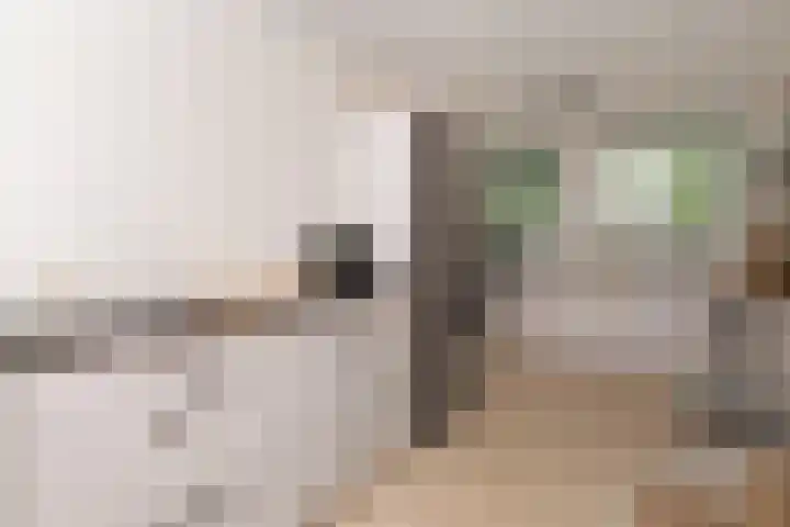 Eschberg 6 Amersfoort thumbnail 18