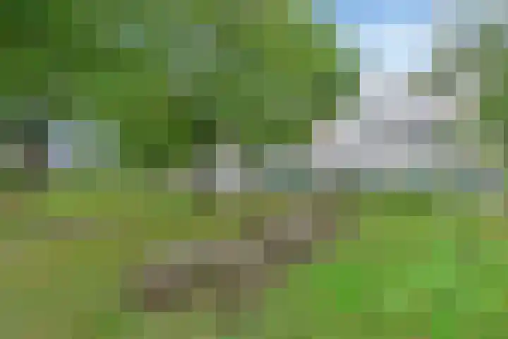 Eschberg 6 Amersfoort thumbnail 8