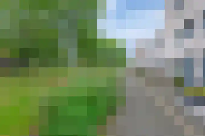 Eschberg 6 Amersfoort thumbnail 9