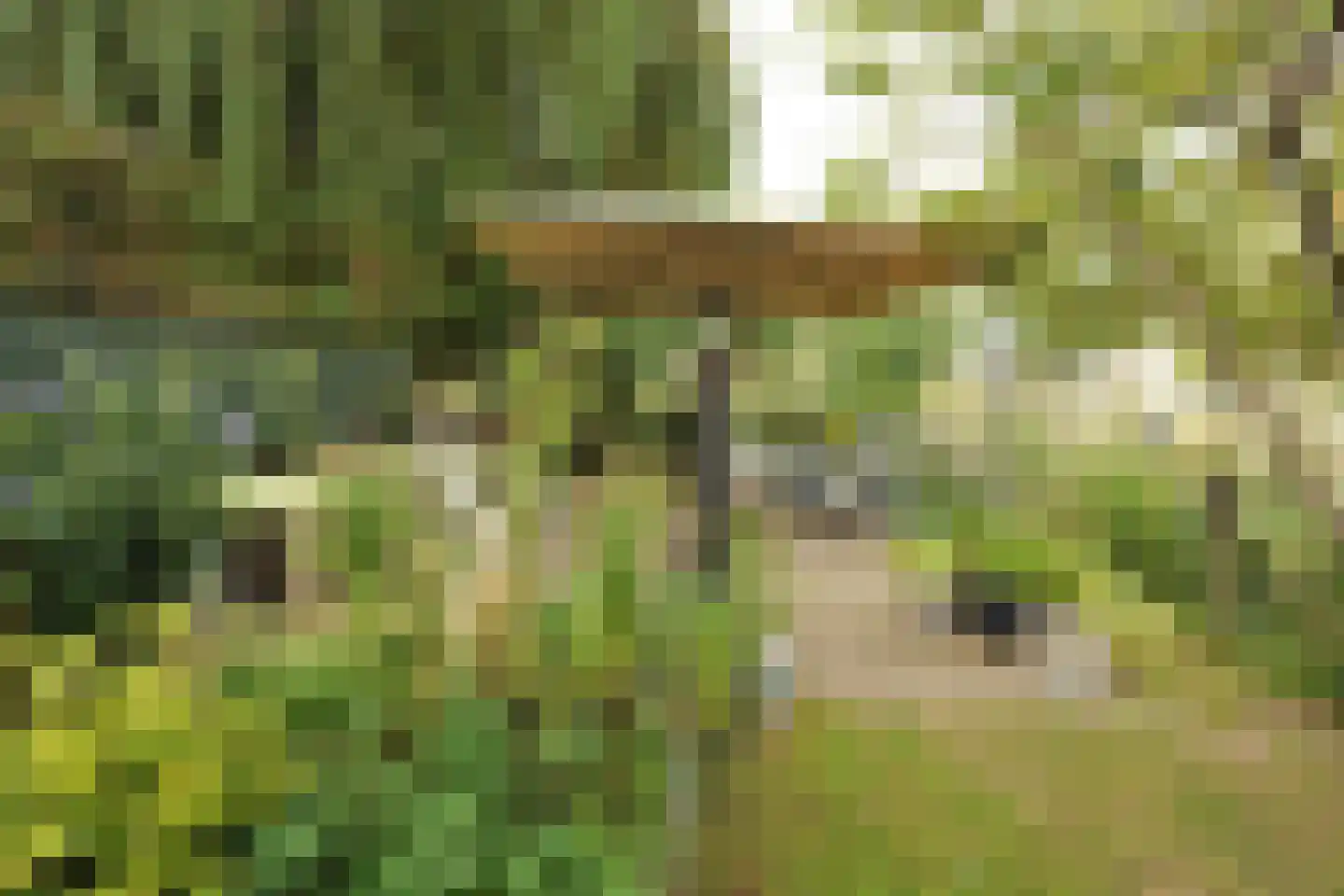 Escherpad 80 Almere thumbnail 36