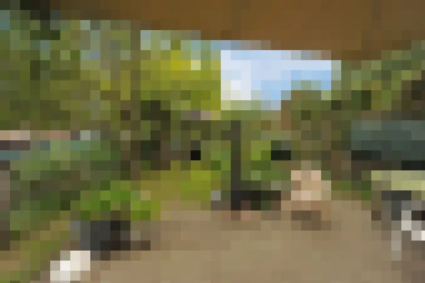Escherpad 80 Almere thumbnail 38