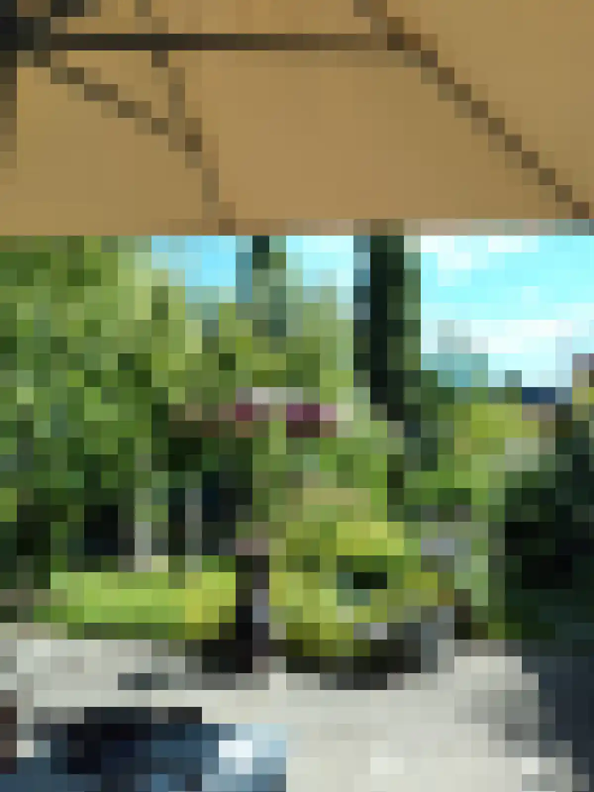 Escherpad 80 Almere thumbnail 42