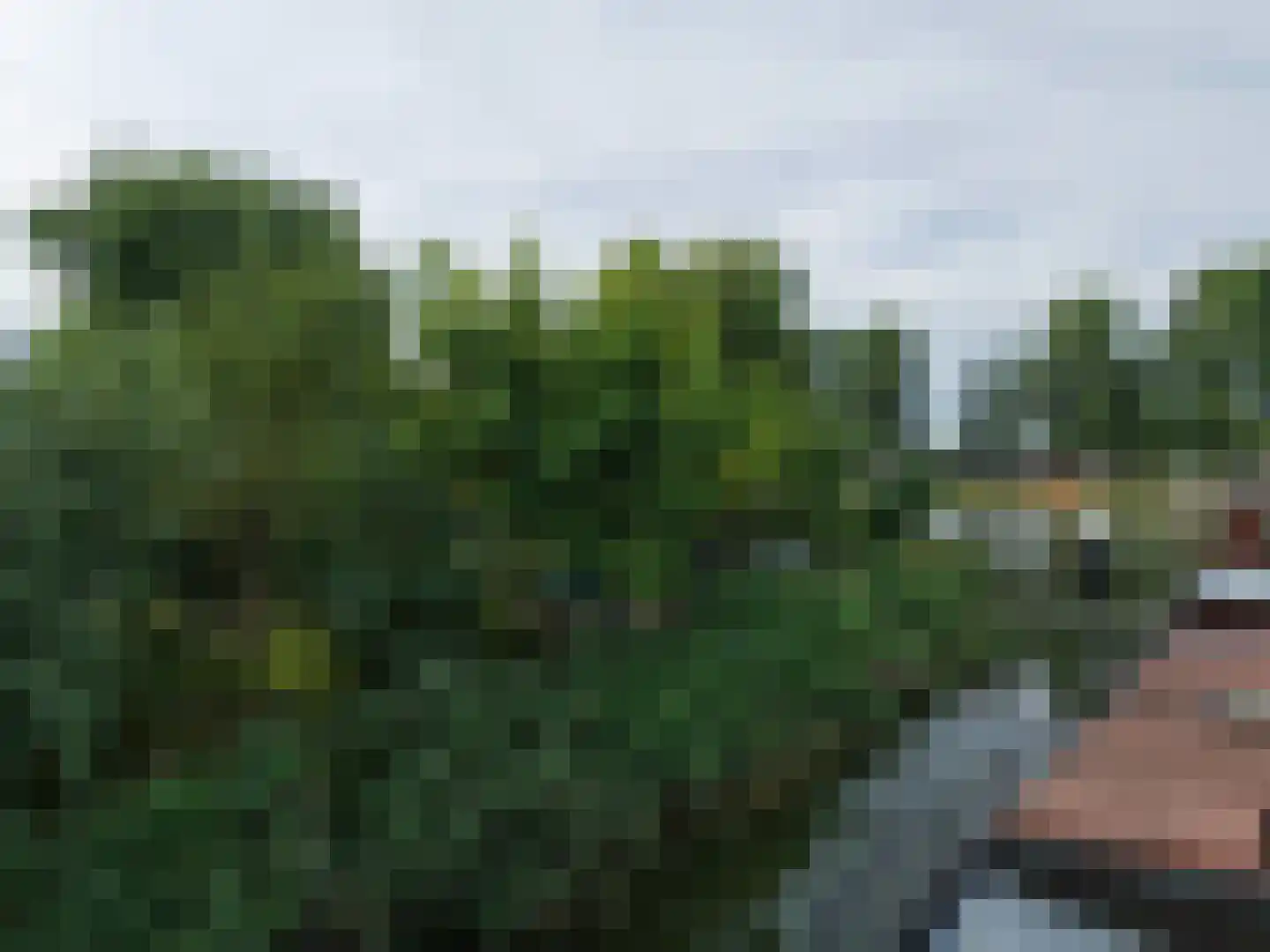 Escherpad 80 Almere thumbnail 8