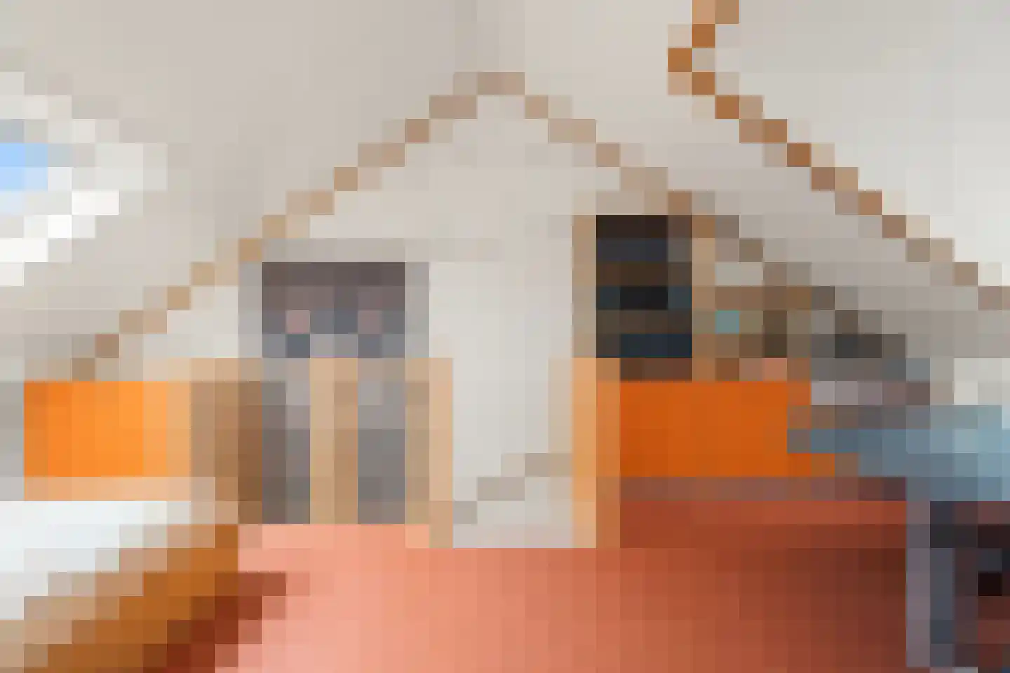 Eschersingel 36 Utrecht thumbnail 32
