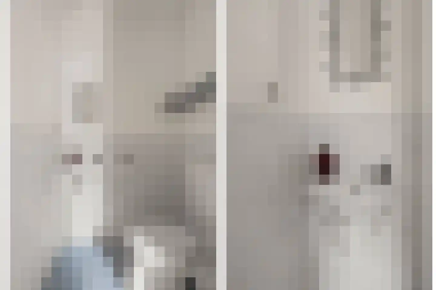 Eschersingel 36 Utrecht thumbnail 33