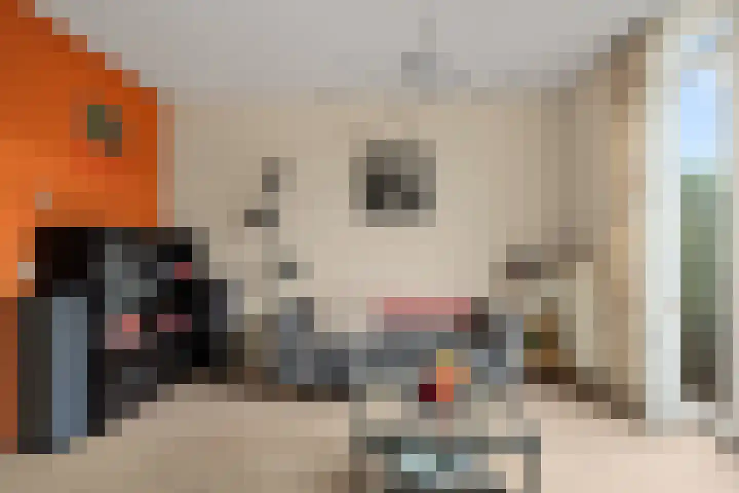 Eschersingel 36 Utrecht thumbnail 6