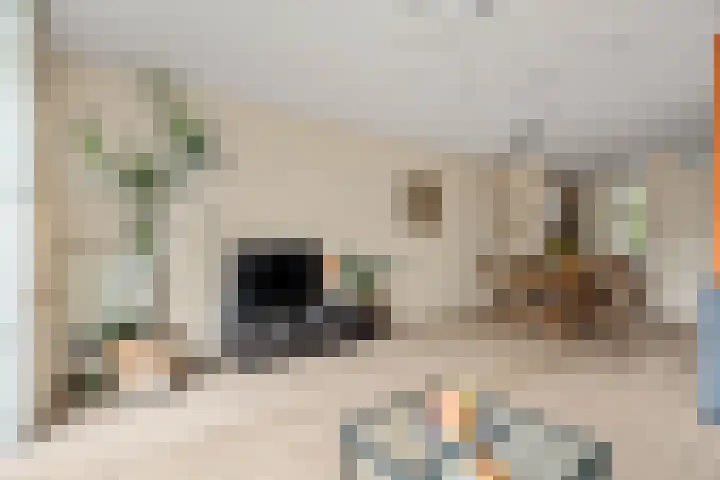 Eschersingel 36 Utrecht thumbnail 7