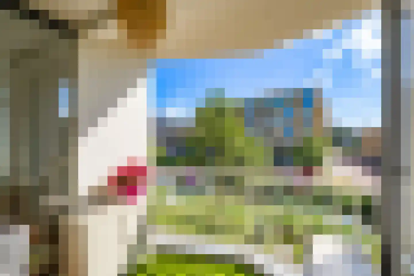 Eschersingel 60 Utrecht thumbnail 25