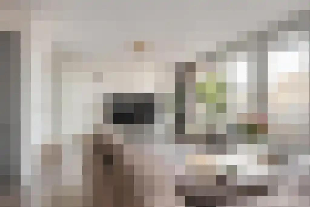 Eschersingel 62 Utrecht thumbnail 5