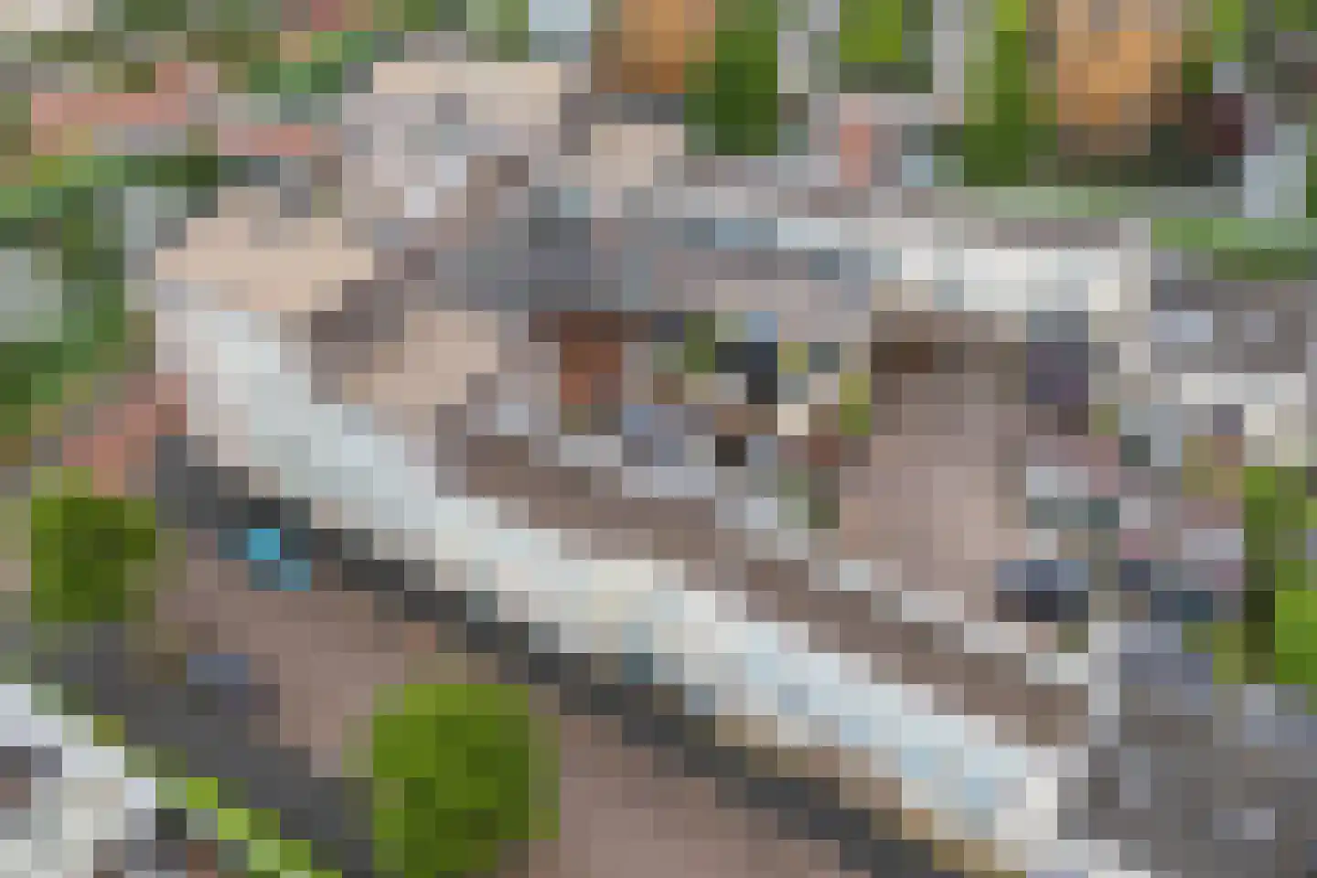 Eschersingel 71 Utrecht thumbnail 53