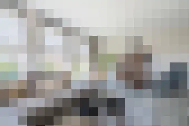 Eschersingel 79 Utrecht thumbnail 11