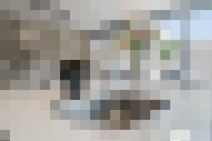 Eschersingel 79 Utrecht thumbnail 20