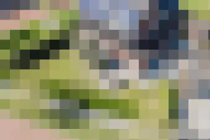 Eschersingel 79 Utrecht thumbnail 26
