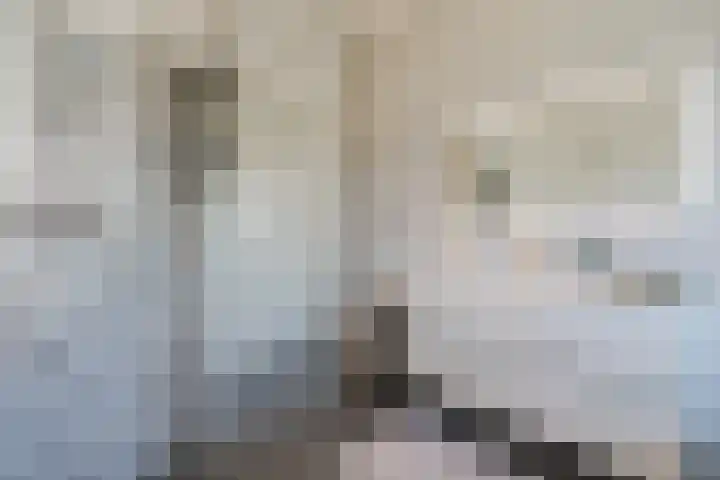 Eschersingel 79 Utrecht thumbnail 43