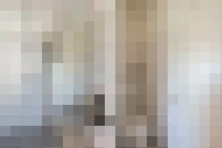 Eschersingel 79 Utrecht thumbnail 44