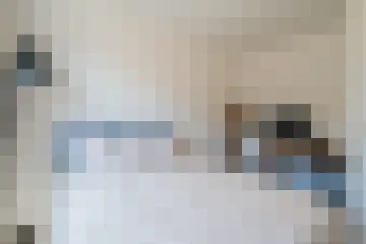 Eschersingel 79 Utrecht thumbnail 47