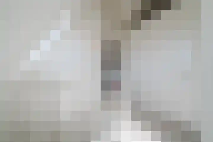 Eschersingel 79 Utrecht thumbnail 52