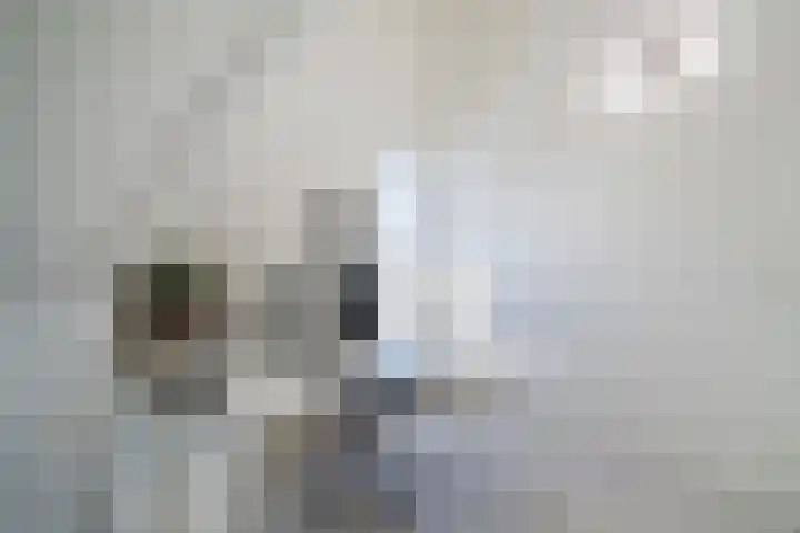 Eschersingel 79 Utrecht thumbnail 58