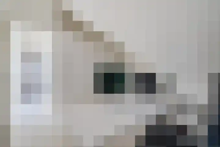 Eschersingel 79 Utrecht thumbnail 59