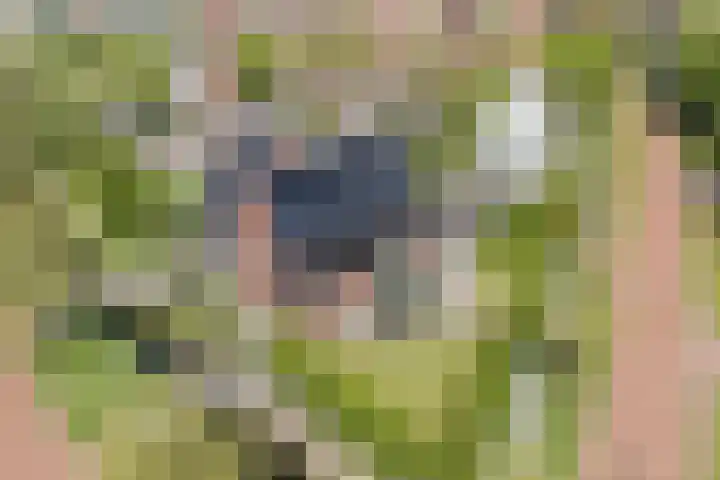 Eschersingel 79 Utrecht thumbnail 62