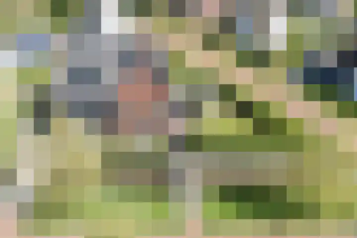 Eschersingel 79 Utrecht thumbnail 63