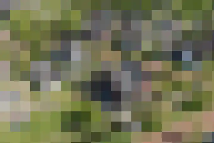Eschersingel 79 Utrecht thumbnail 65